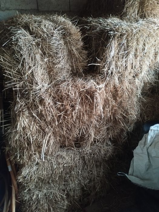 Қырдың  шөбі.сено.клевер