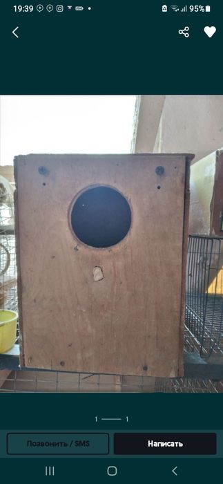 Ту'ти к,уш тухум к,у'йишига уя