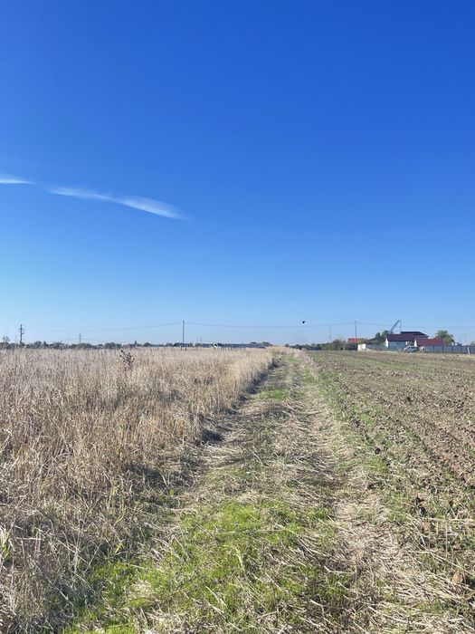 Teren de vanzare PĂDURIȘU , Frumușani