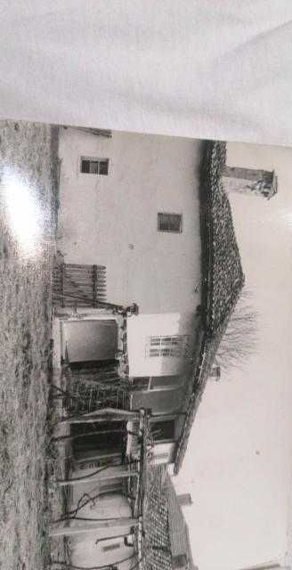 Стари снимки от едно времр