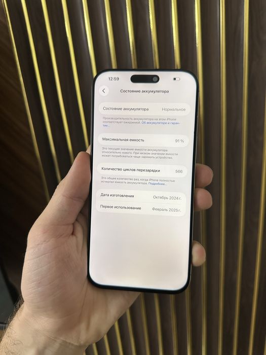 Iphone 16 Pro Max 256 Esim