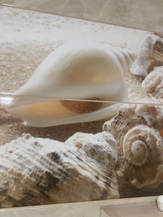 Однушка на Аль-фараби. Сдам