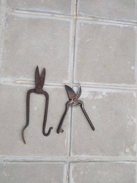 Битови предмети за декорация и ползване