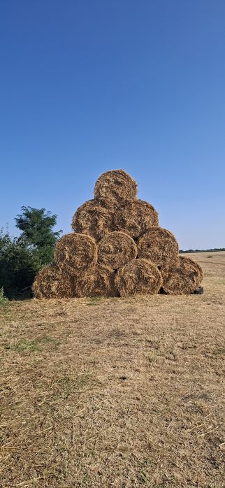 Balotez lucerna, fan, paie sau tocatura de porumb
