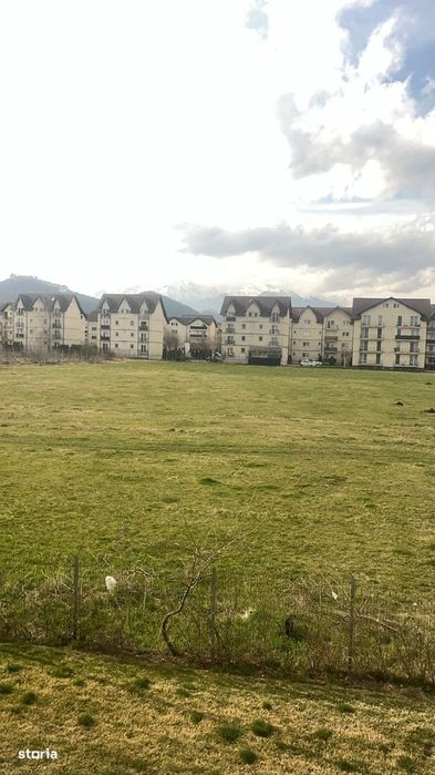 Lumina naturală pe tot parcursul zilei .