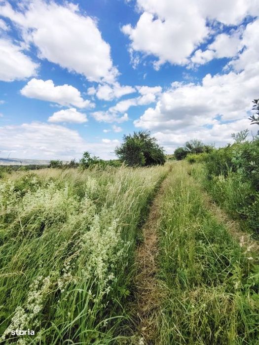Teren Pentru Refugiul Tau In Natura - Borhanci