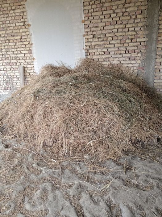 Беда ва ут, маккажухори мол овкатлари тез ва арзон сотилади