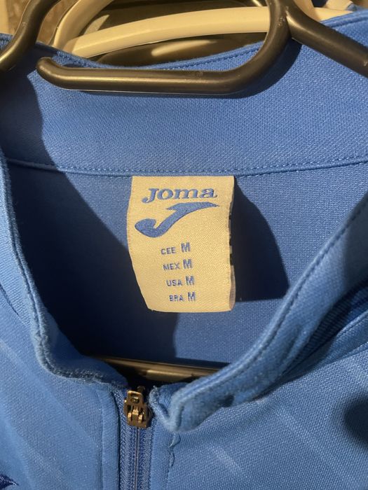 Горнище на Левски