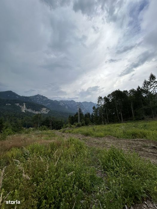 Teren intravilan, 1000 mp, proiect duplex P+E, zona Sinaia - Zamora