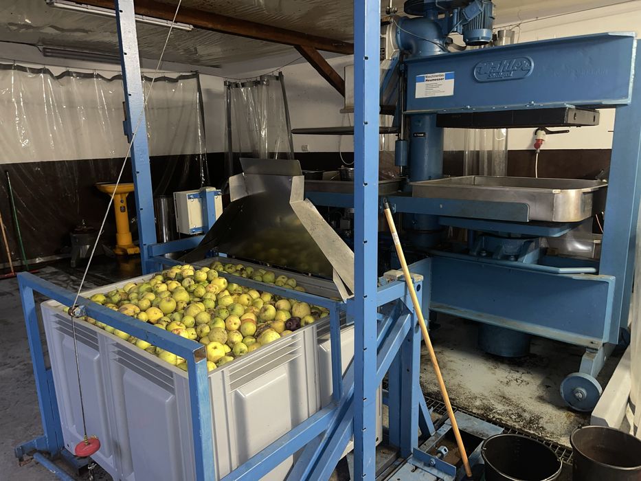 Suc de mere fabricat in Cartisoara