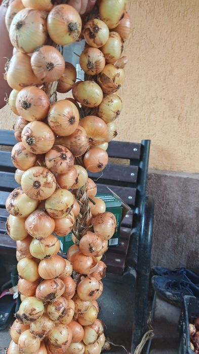 Ceapă românească împletită traditional