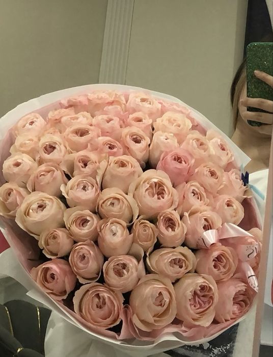 Цветы | Гүл | свежий бүгінгі