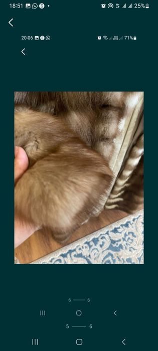 Шуба из меха Куницы