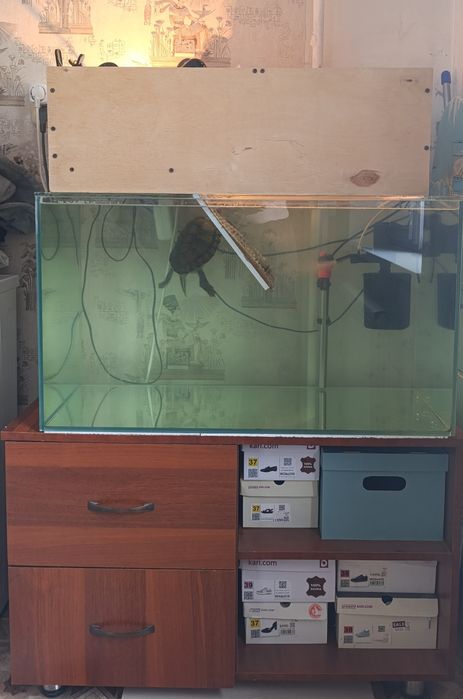 Продам черепаху с оборудованием