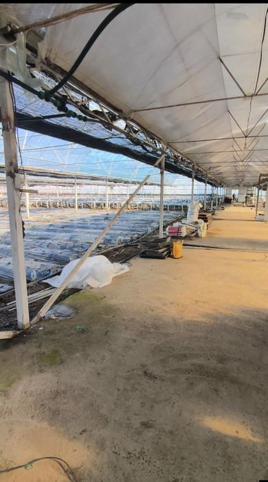 Сдам в аренду теплицу 1га