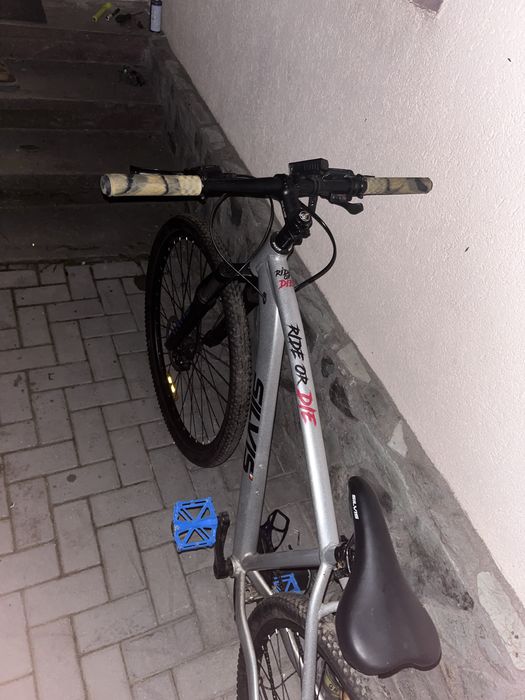 Bicicleta silvis