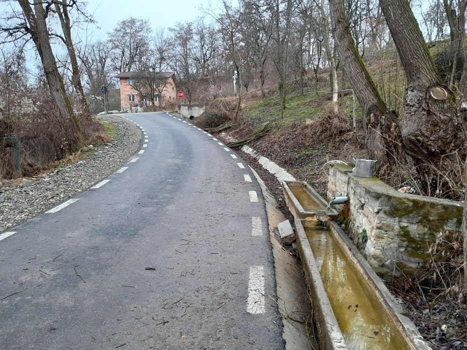 Loc pentru cabana plantatii proiecte europene tec