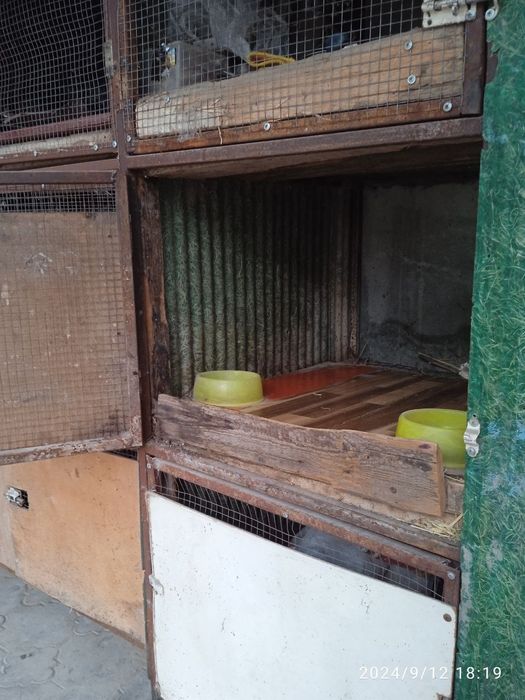 Куйон. Товук бокиш учун кафас сотилади