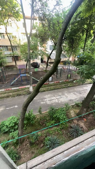 Буз 2, Ялангач Экобазар 1 комнатная
