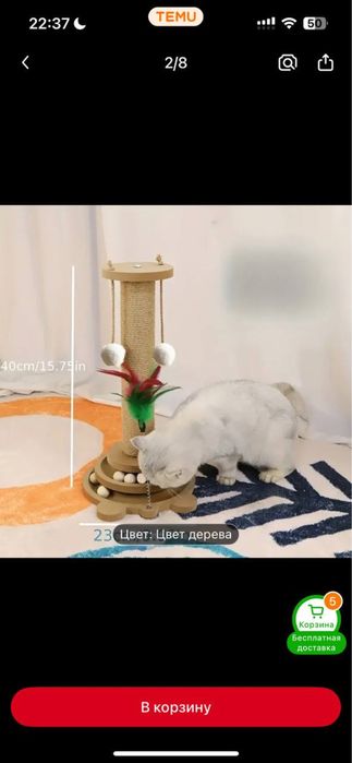 Когтеточка для котят