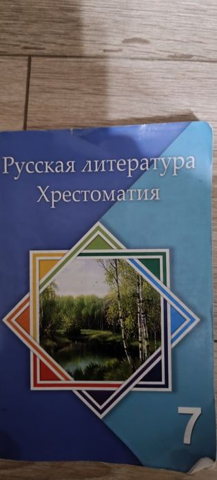 Русский язык 3 класс русская литература,математика 7 клпетерсон