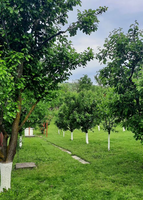 VILĂ 4 CAMERE CU TEREN 1.670 MP ȘI LIVADĂ | VĂLENII DE MUNTE, PRAHOVA