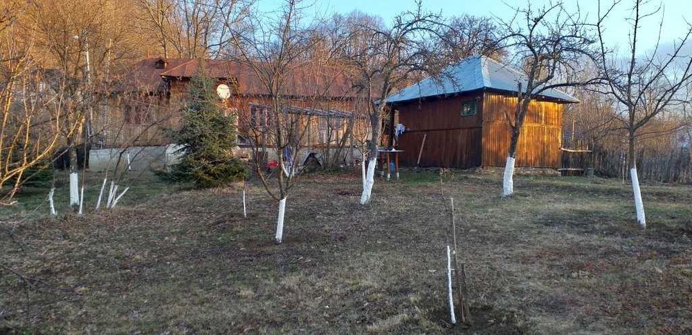 Casa + teren 7582 mp (livada si faneata), sat Poiana Trestiei, Prahova