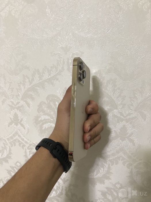 iPhone 13 pro max 1tb