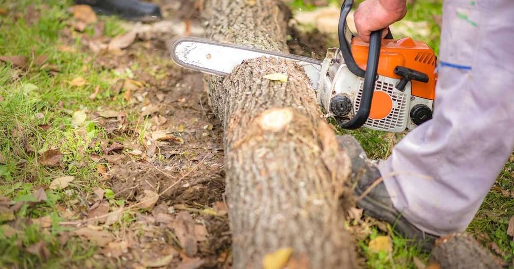 Озеленяване и поддръжка на зелени площи