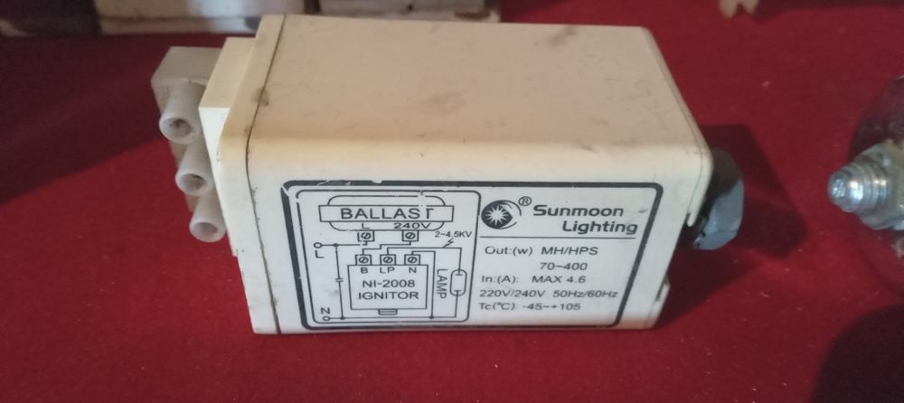 Мынадай хойналар бар