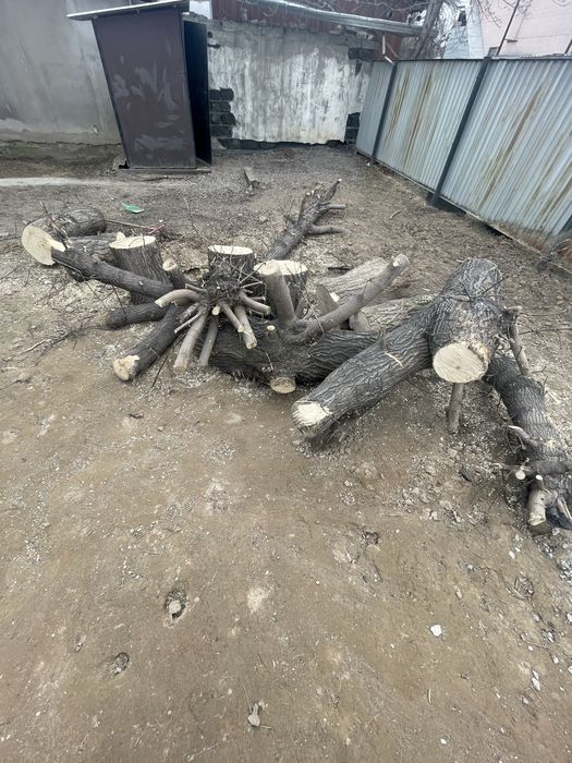 Дрова отдам дарам