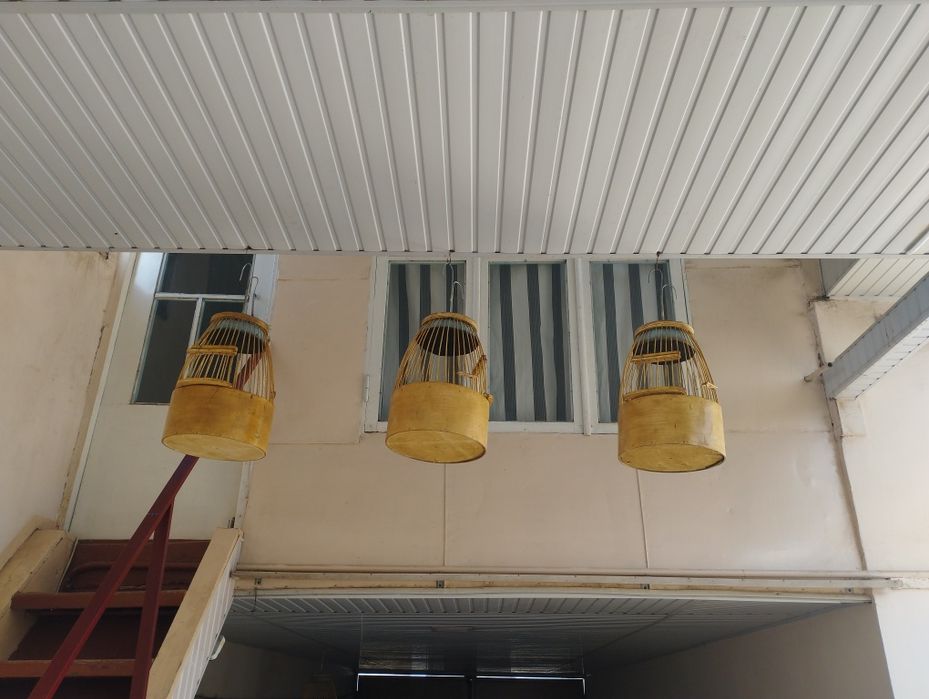 Italiya bedanaga qovoq bor sotiladi