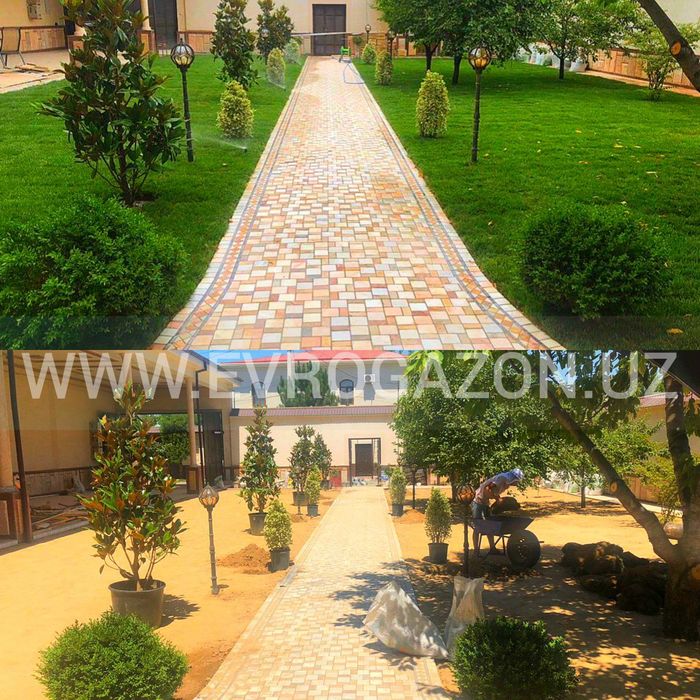 Газон готовый с установкой и также ландшафтный дизайн