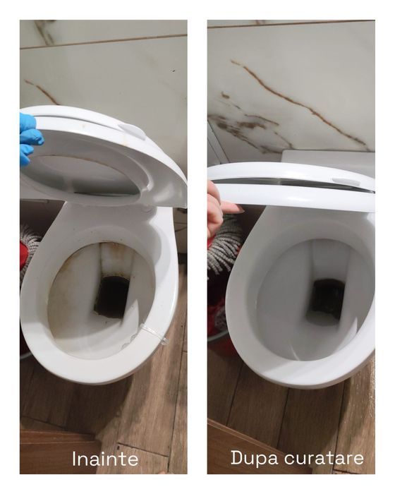 Curatenie la domiciliu , facuta cum trebuie