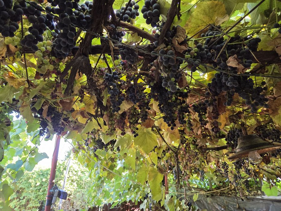 Casa Ciuslea Vrancea