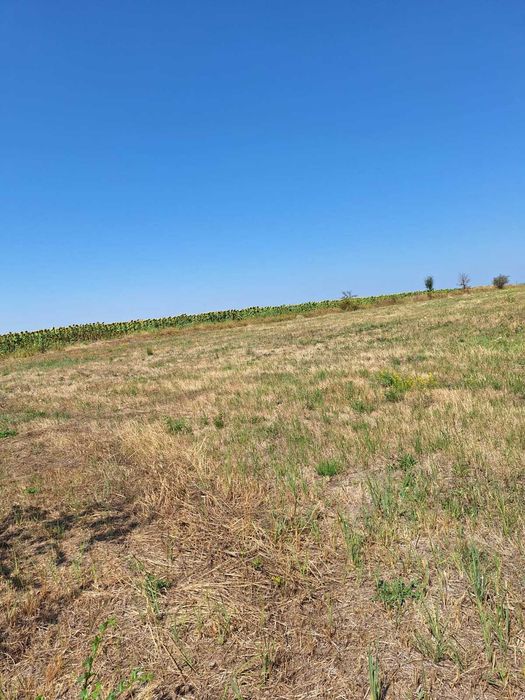 Vand teren extravilan in com. Suseni( la 15 km de Pitești)