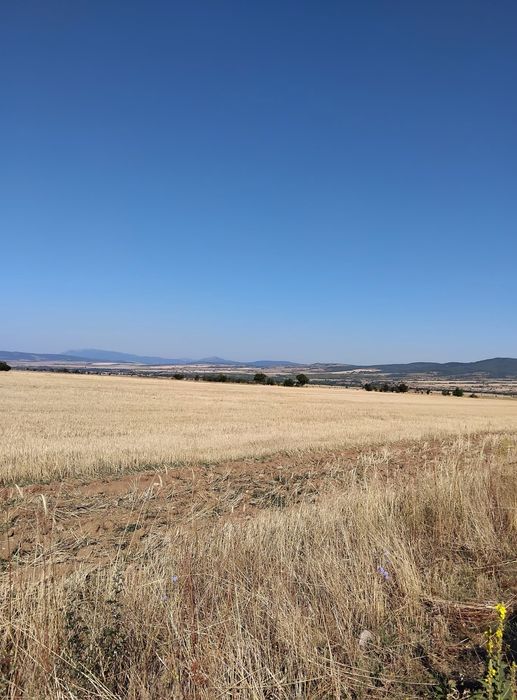 Продава парцел в гр.Сапарева баня