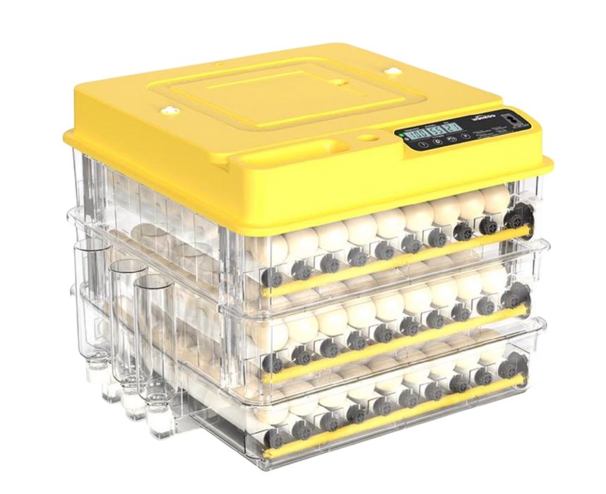 Inkubator avtomat gradus va namligini kursatadi