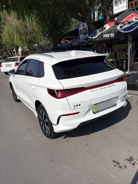 Sotiladi byd E2 elektor