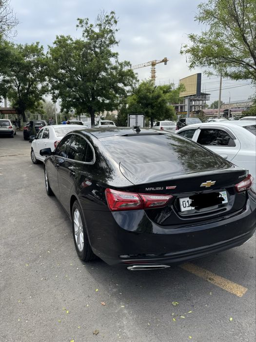 Malibu premier tozza-2021