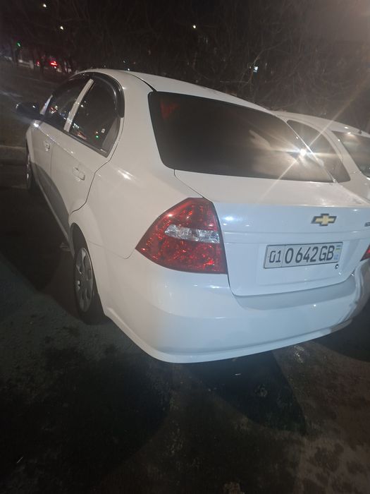 Некция 3 2019й краска тоза