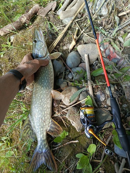 Спиннинг Maximus Pointer X 23Ul.