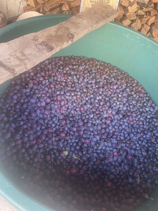 Vand prune de tuica