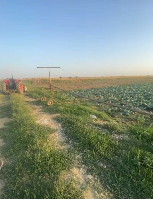 Tambur Malupe Agro