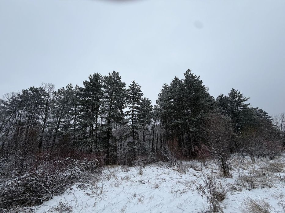 Teren intravilan 5200 mp - zonă superba, brazi și pădure