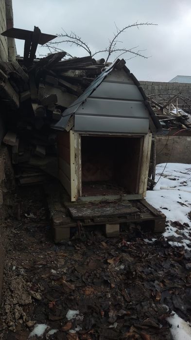 Будка для собака