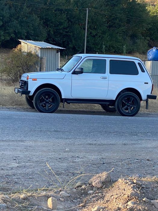 Niva sotiladi xolati zor