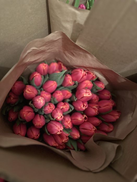 Тюльпаны к 8 марта премиум сорт