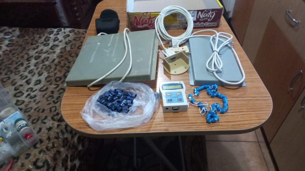 Ceas Bricon porumbei - cipuri - inele 2026