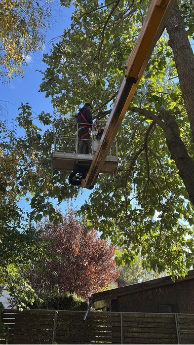 Nacela Bolintin Vale, Buldo Bolintin Vale, Utilaje Bolintin Vale